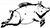 Woestijnvis